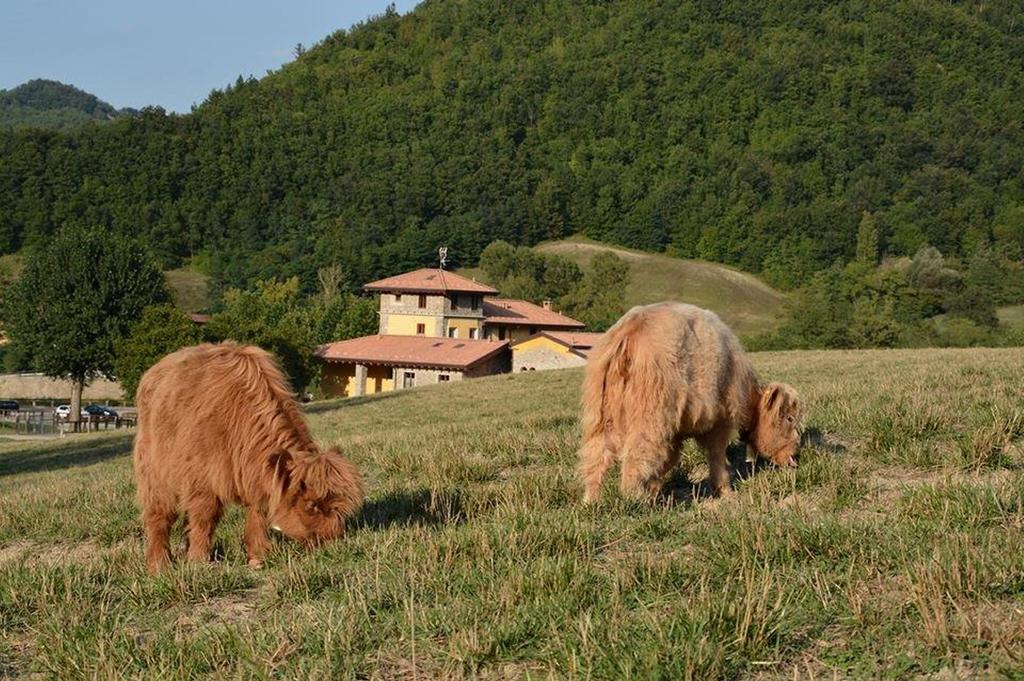 Agriturismo Ca Bella Villa San Sebastiano Curone ภายนอก รูปภาพ