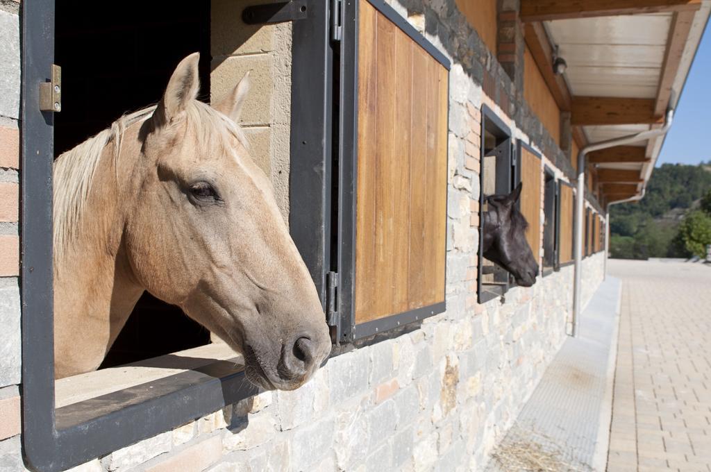 Agriturismo Ca Bella Villa San Sebastiano Curone ภายนอก รูปภาพ