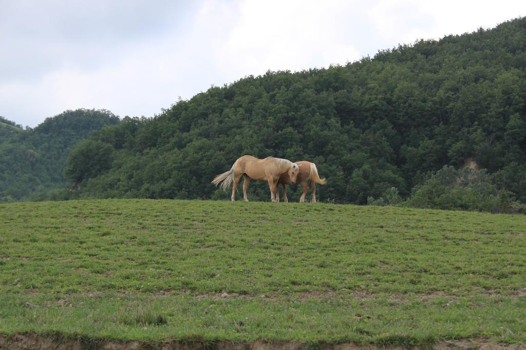 Agriturismo Ca Bella Villa San Sebastiano Curone ภายนอก รูปภาพ