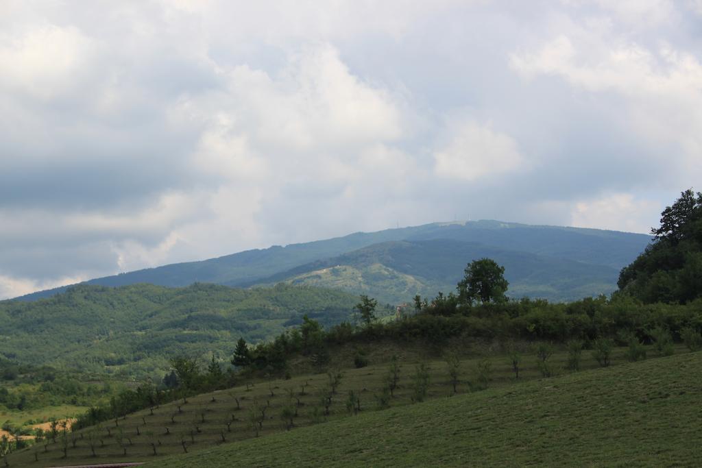 Agriturismo Ca Bella Villa San Sebastiano Curone ภายนอก รูปภาพ